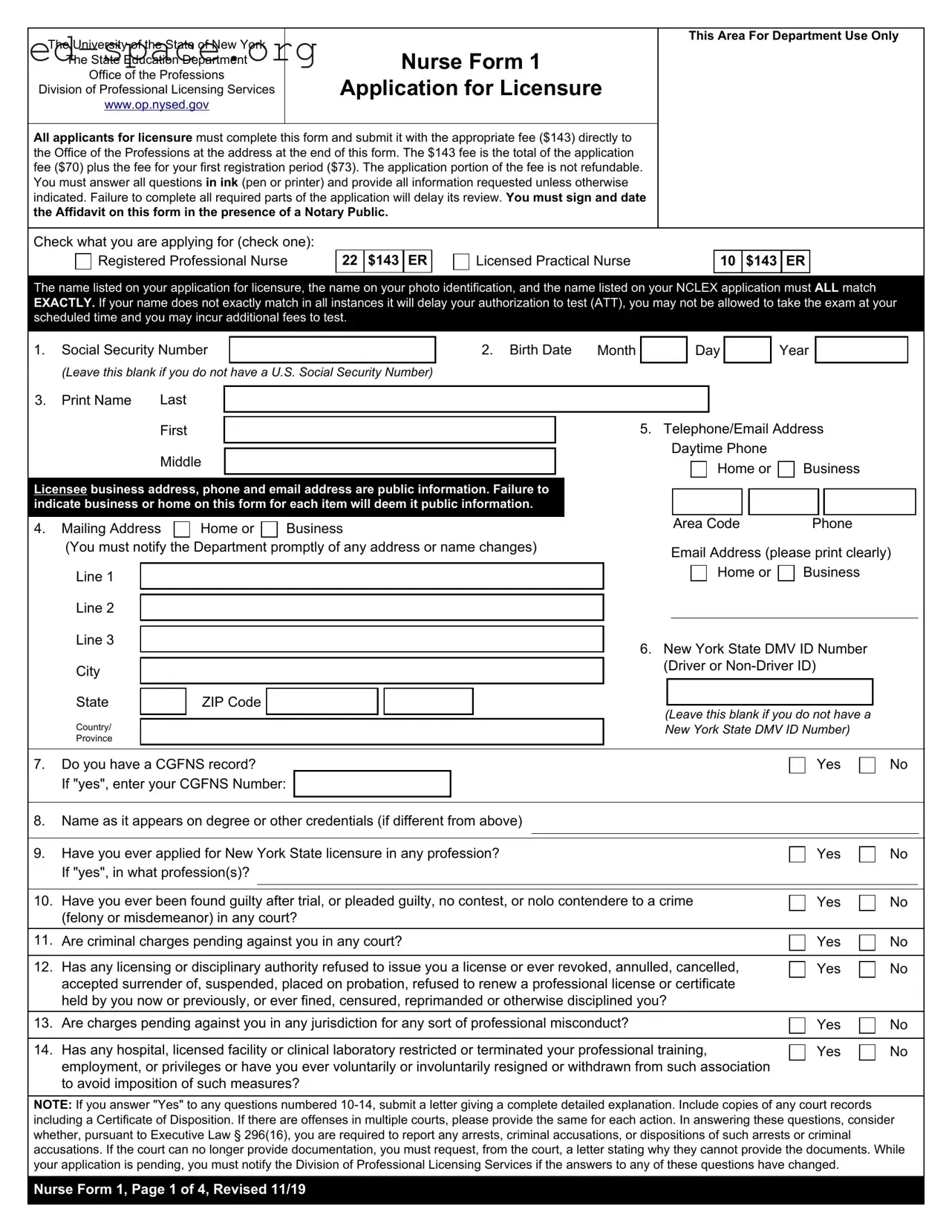 Blank New York Nurse 1 PDF Form