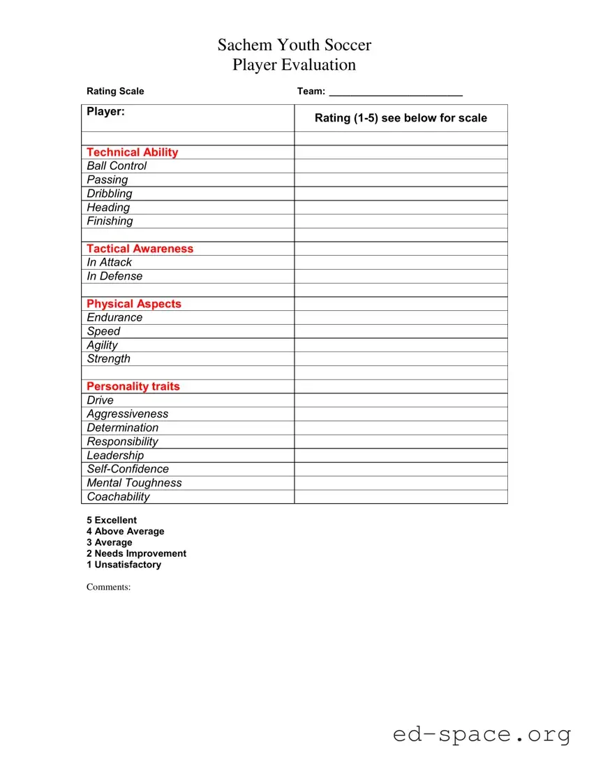 Blank Soccer Player Evaluation PDF Form