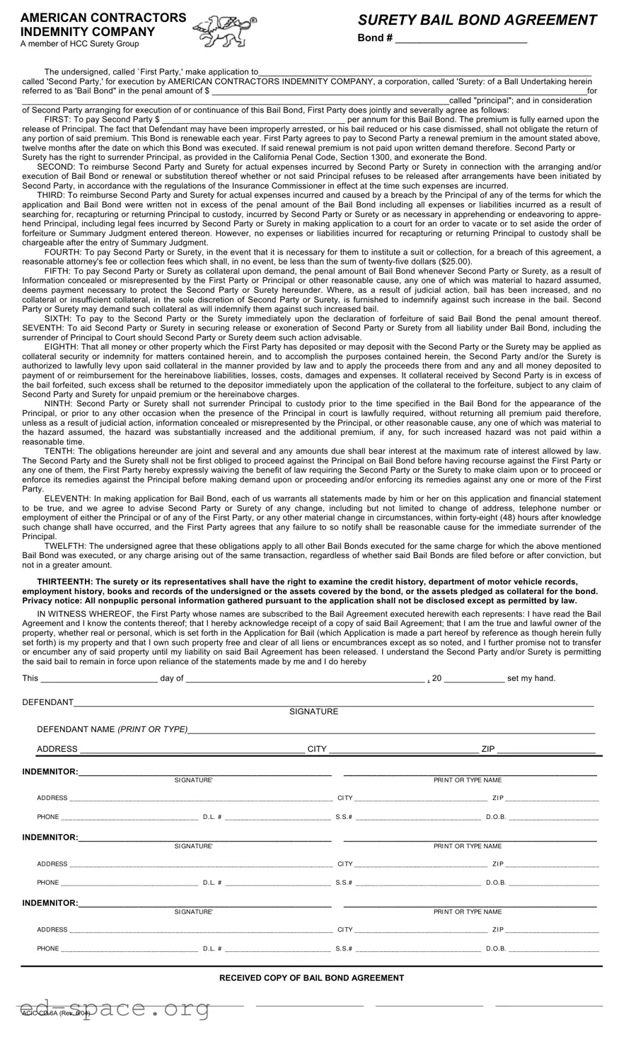 Blank Bail Bond Release Paperwork PDF Form