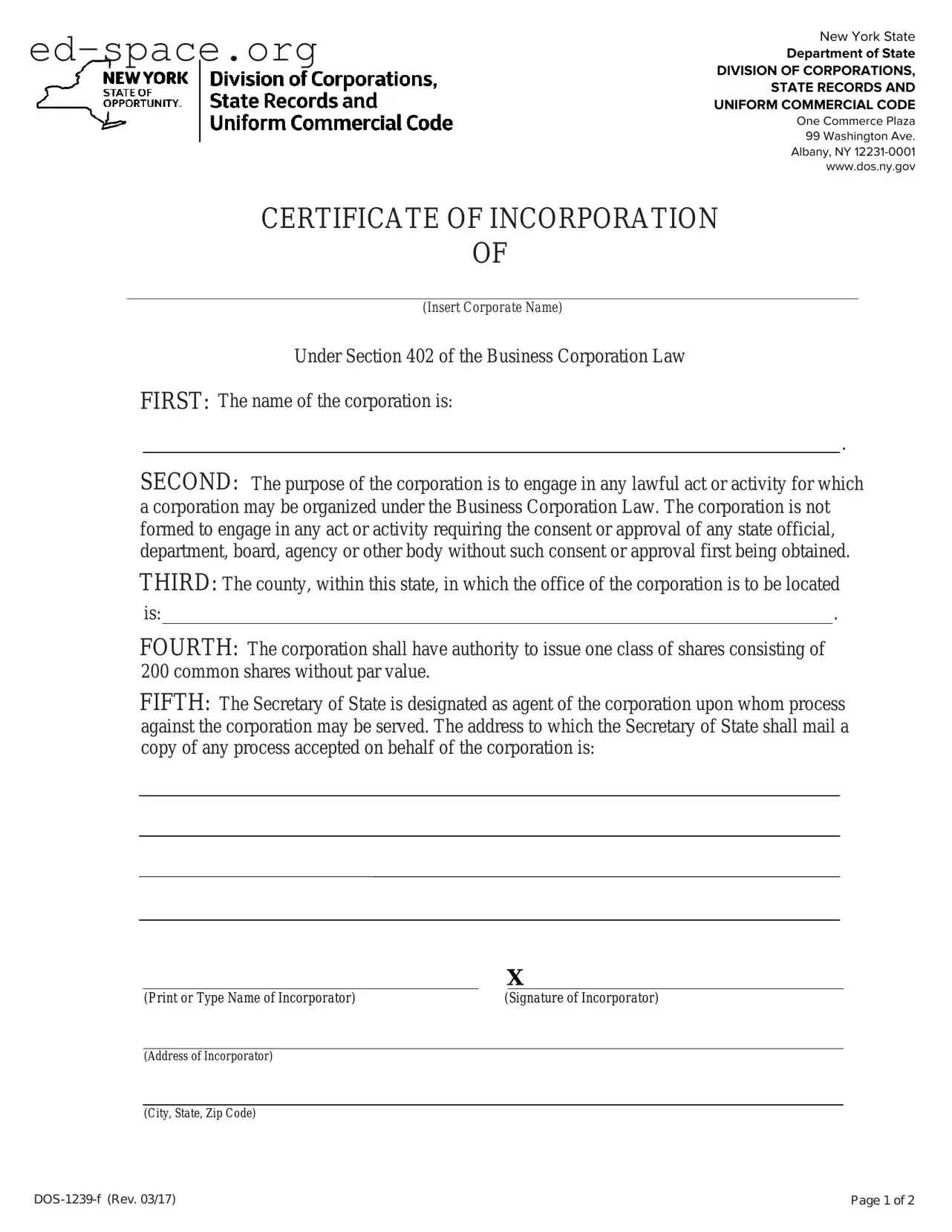 Blank New York Certificate PDF Form