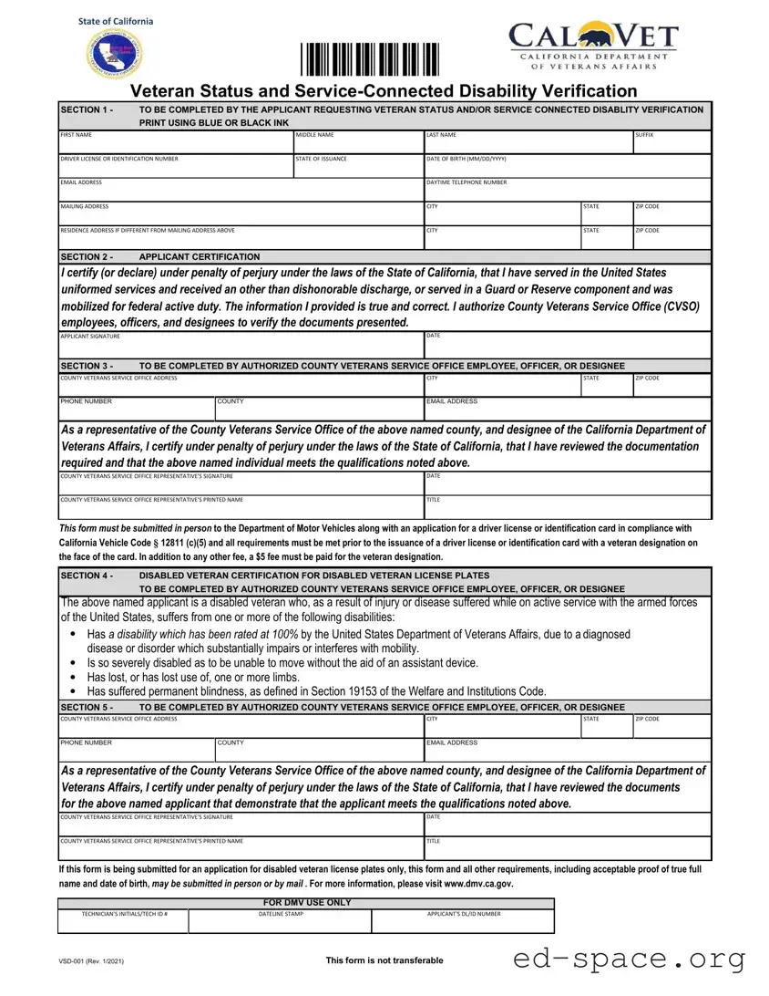Blank Vsd 001 PDF Form