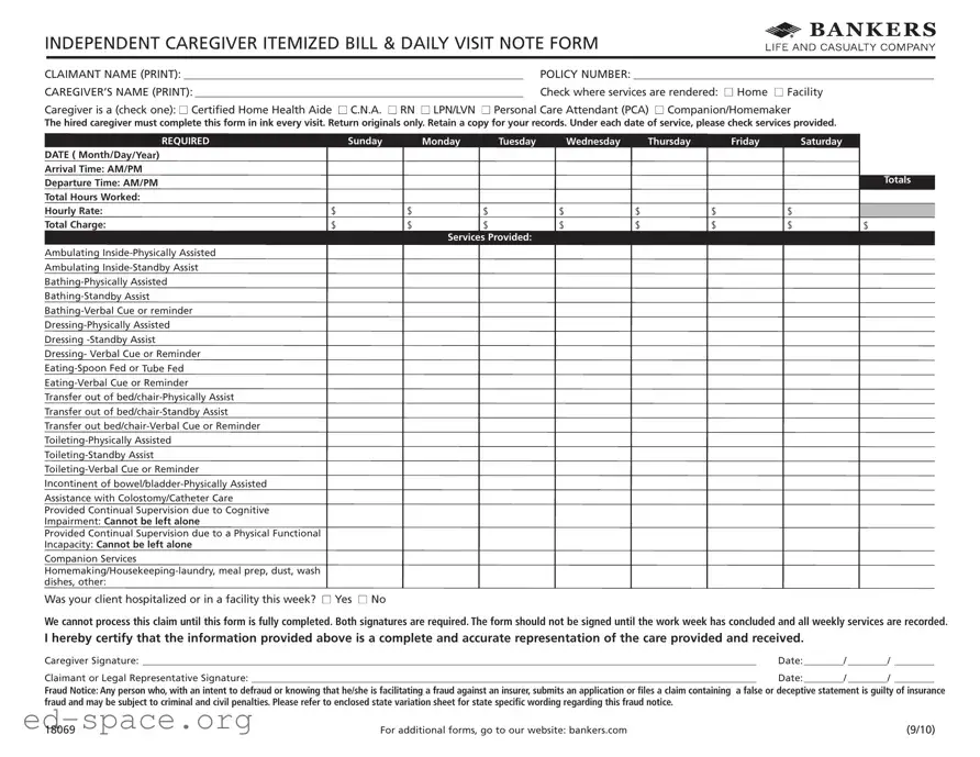 Blank Caregiver Daily Log PDF Form