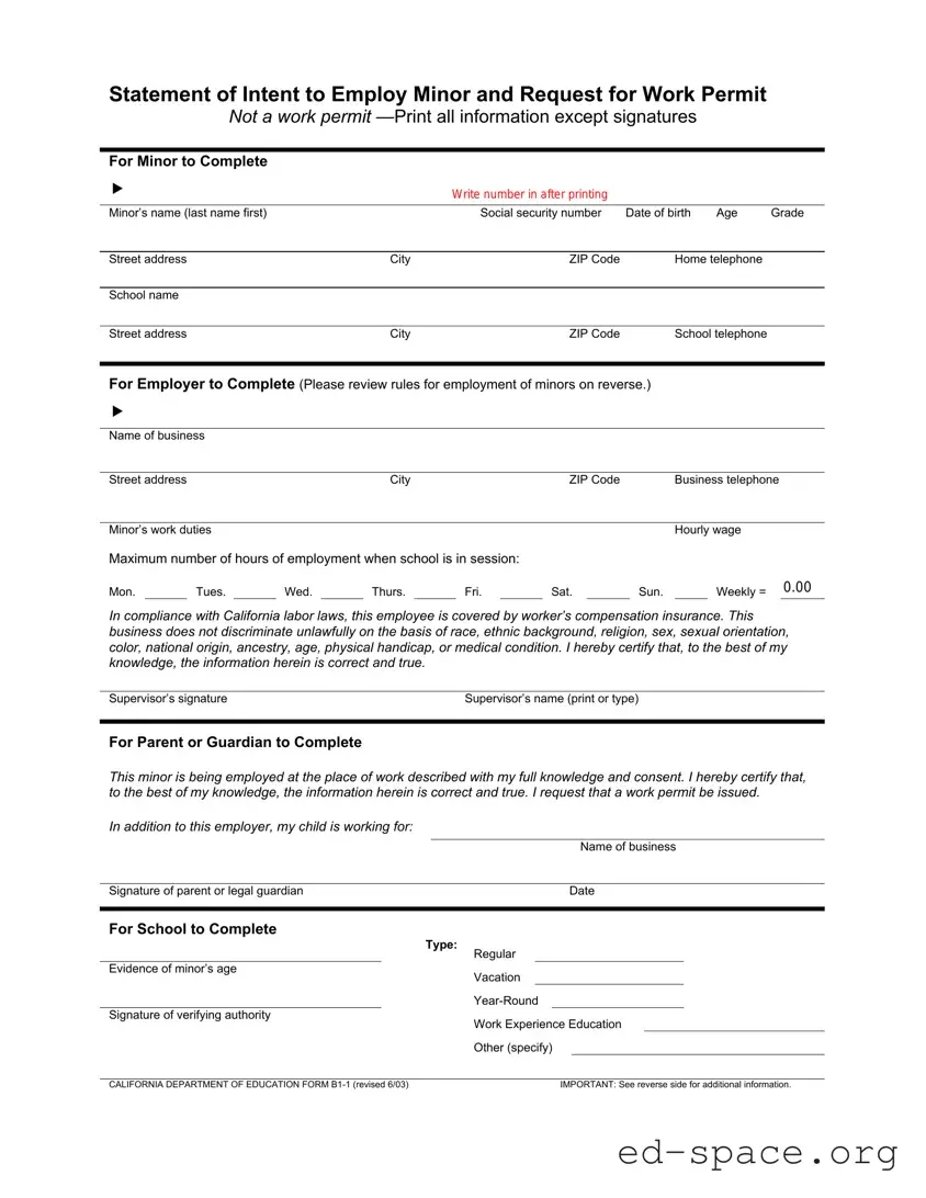Blank Statement of Intent to Employ Minor and Request for Work Permit PDF Form