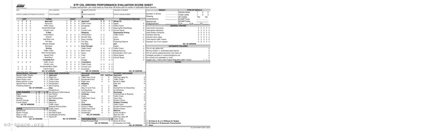 Blank Georgia Road Test Score PDF Form