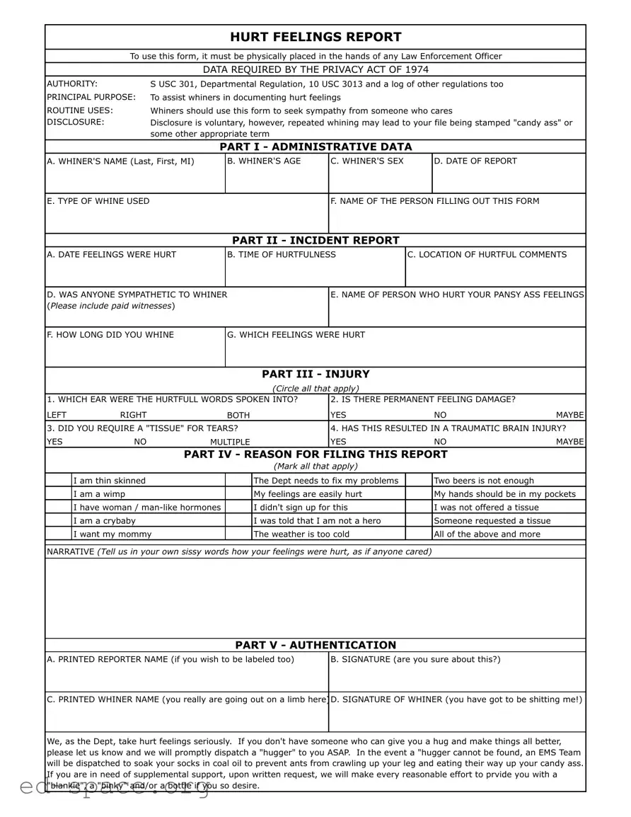 Blank Hurt Feelings Report PDF Form