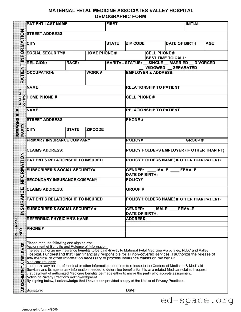 Blank Patient Demographics PDF Form