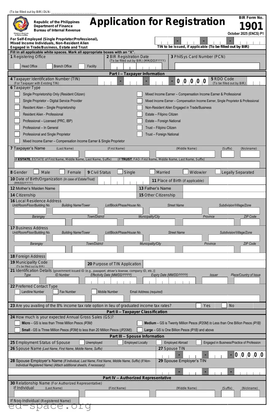 Blank Bir PDF Form
