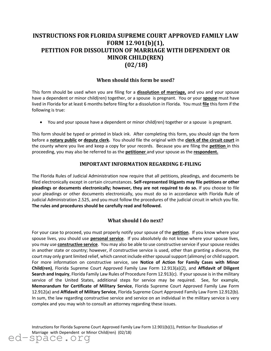 Blank Florida Divorce Decree PDF Form