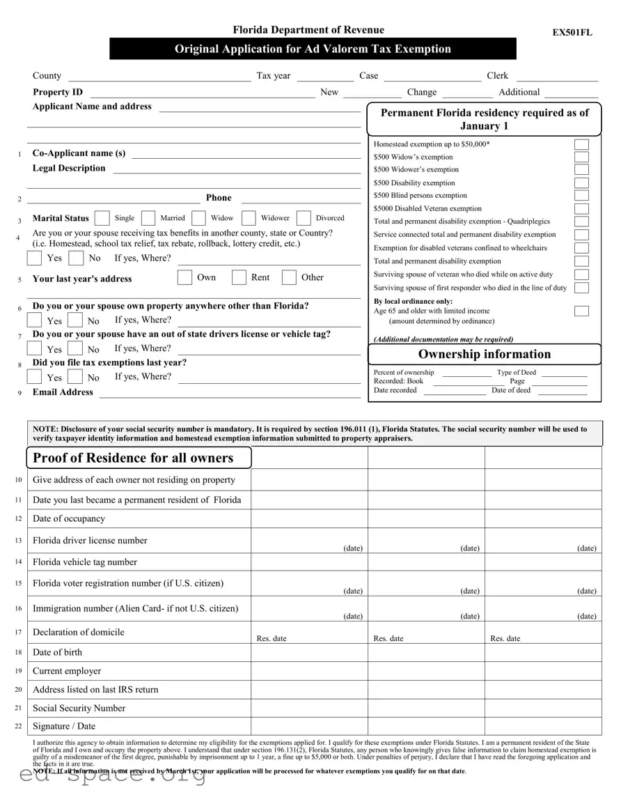 Blank Florida PDF Form