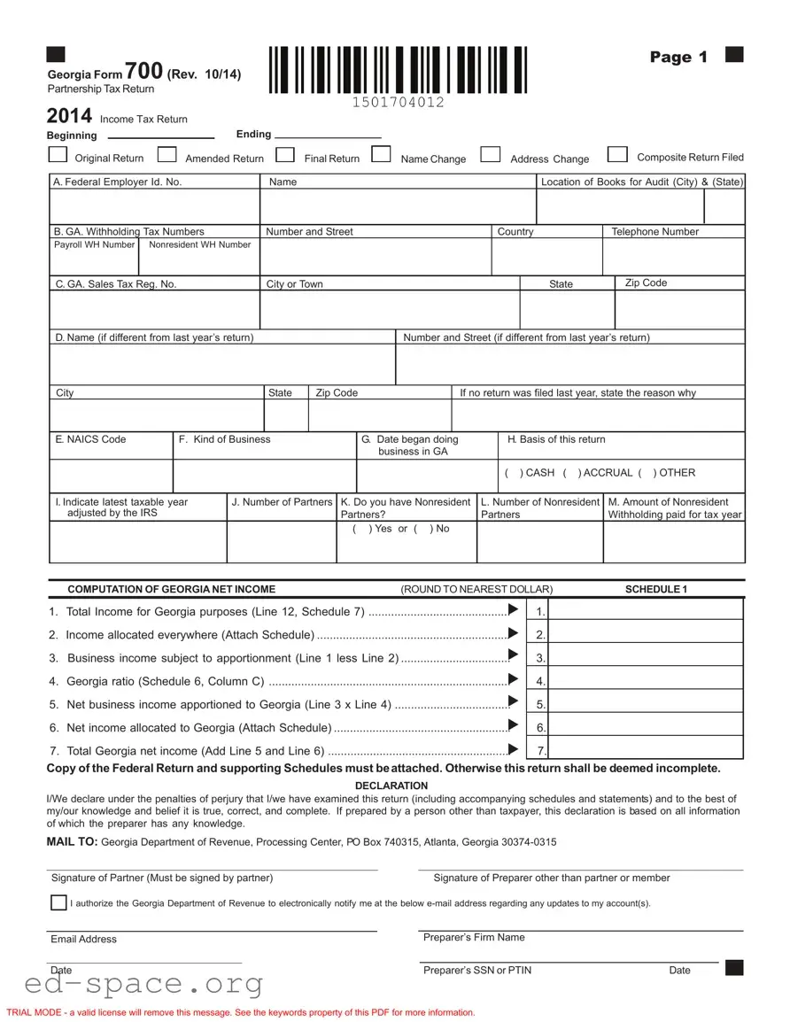 Blank Georgia 700 PDF Form