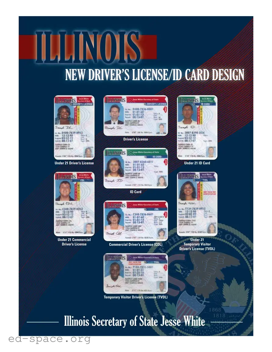 Blank Illinois Drivers License PDF Form