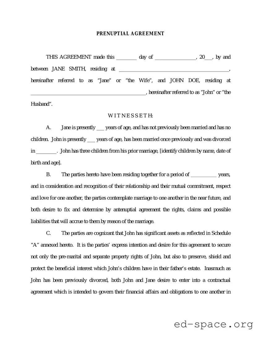 Blank Prenuptial Agreement PDF Form
