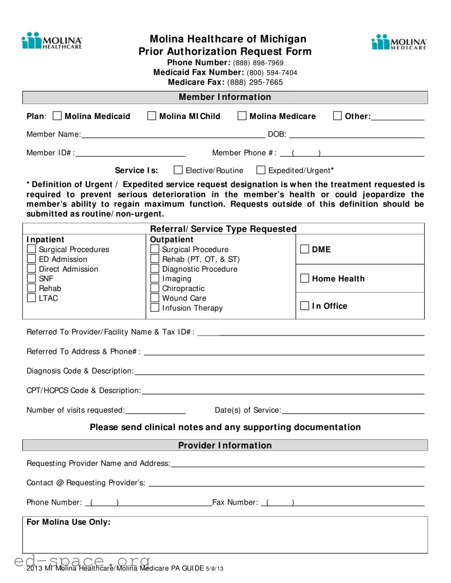 Blank Michigan Molina Prior Authorization PDF Form
