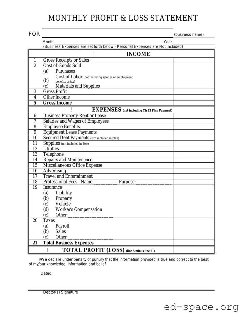 Blank Profit And Loss PDF Form