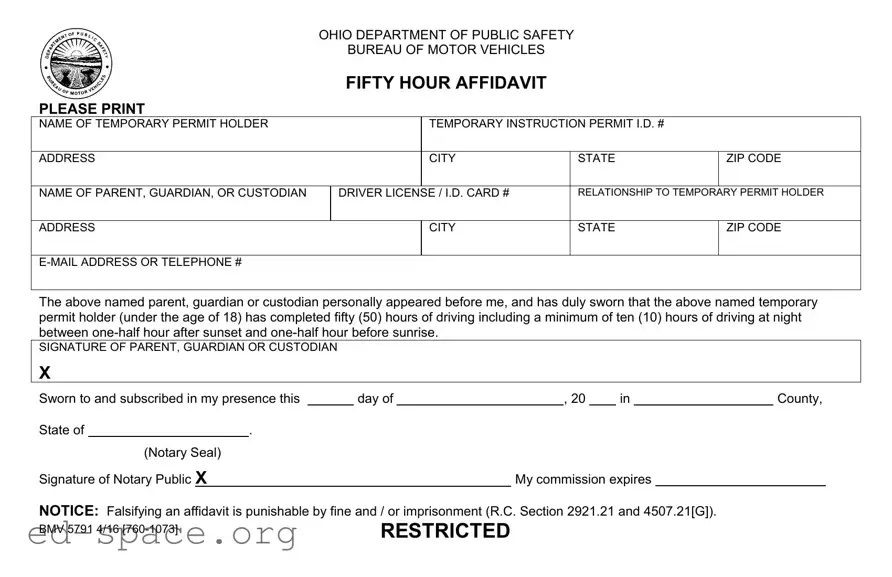 Blank Driving Fifty Hour Affidavit PDF Form
