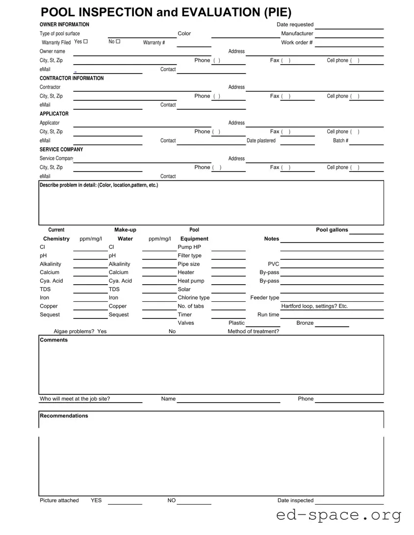 Blank Swimming Pool Inspection PDF Form