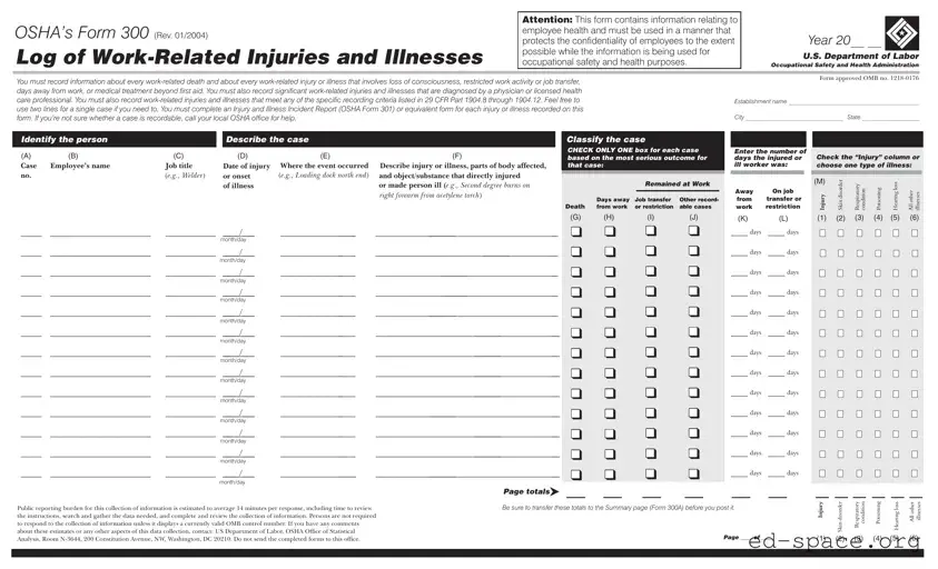 Blank Osha 300 PDF Form