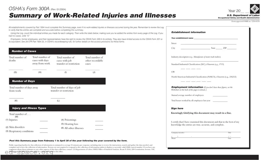 Blank 300A Osha PDF Form