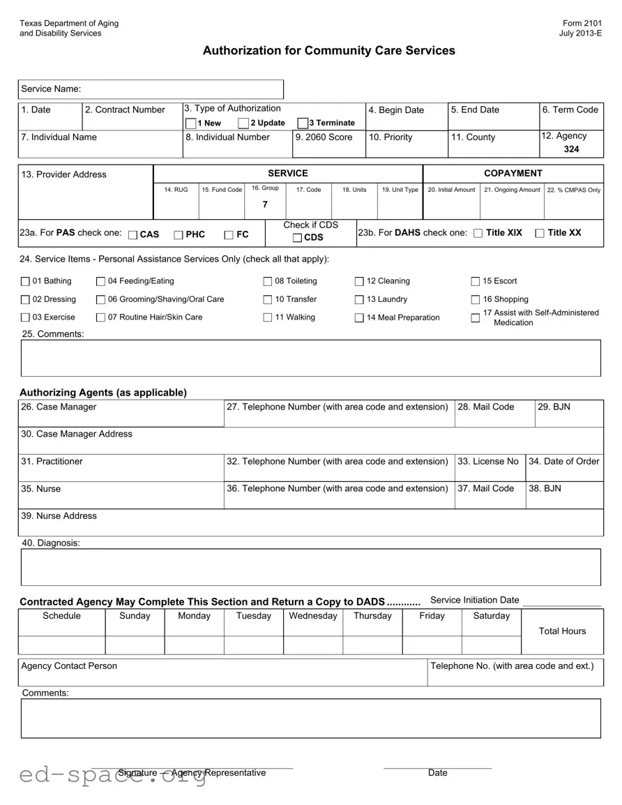 Blank 2101 Texas PDF Form