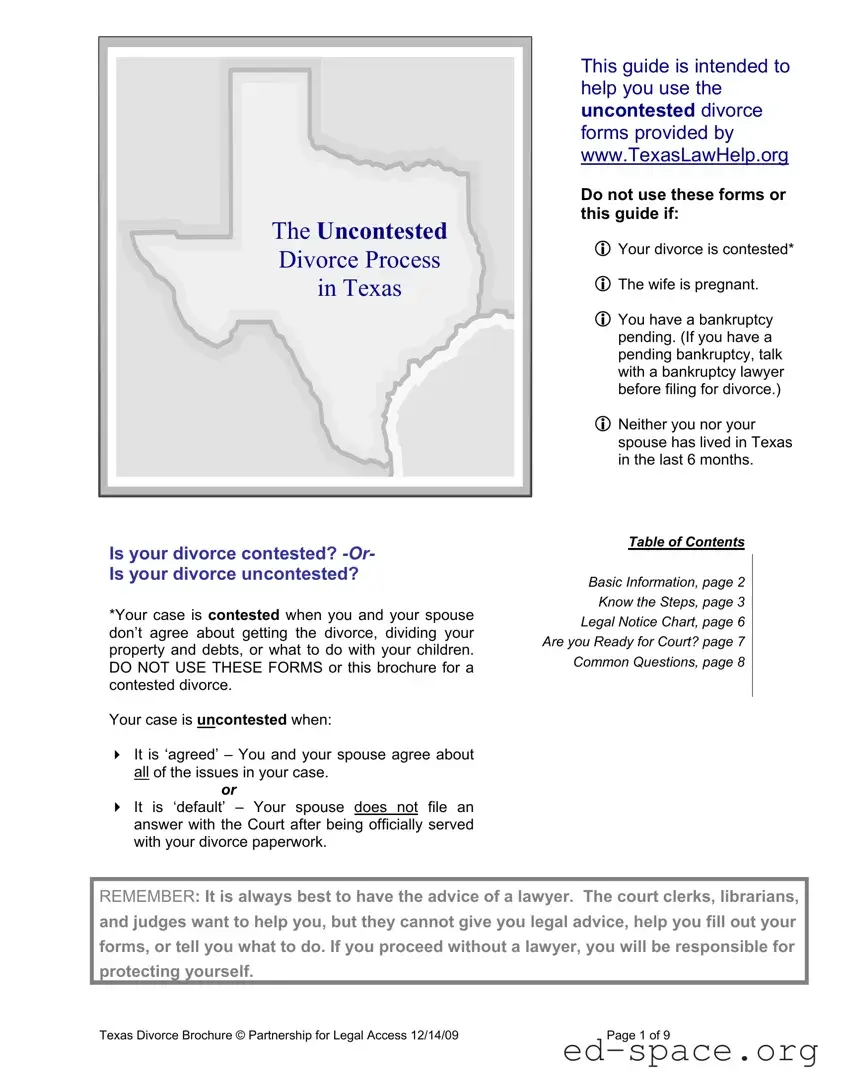 Blank Texas Divorce PDF Form