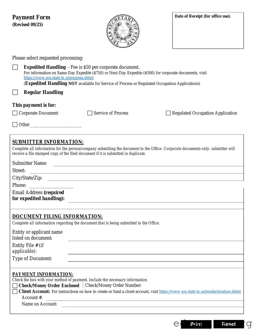 Blank Texas Sos Payment 807 PDF Form