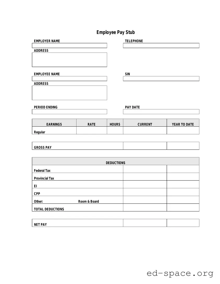 Blank Pay Stub PDF Form