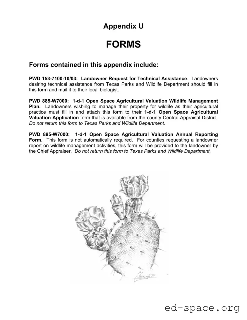 Blank Texas Pwd PDF Form